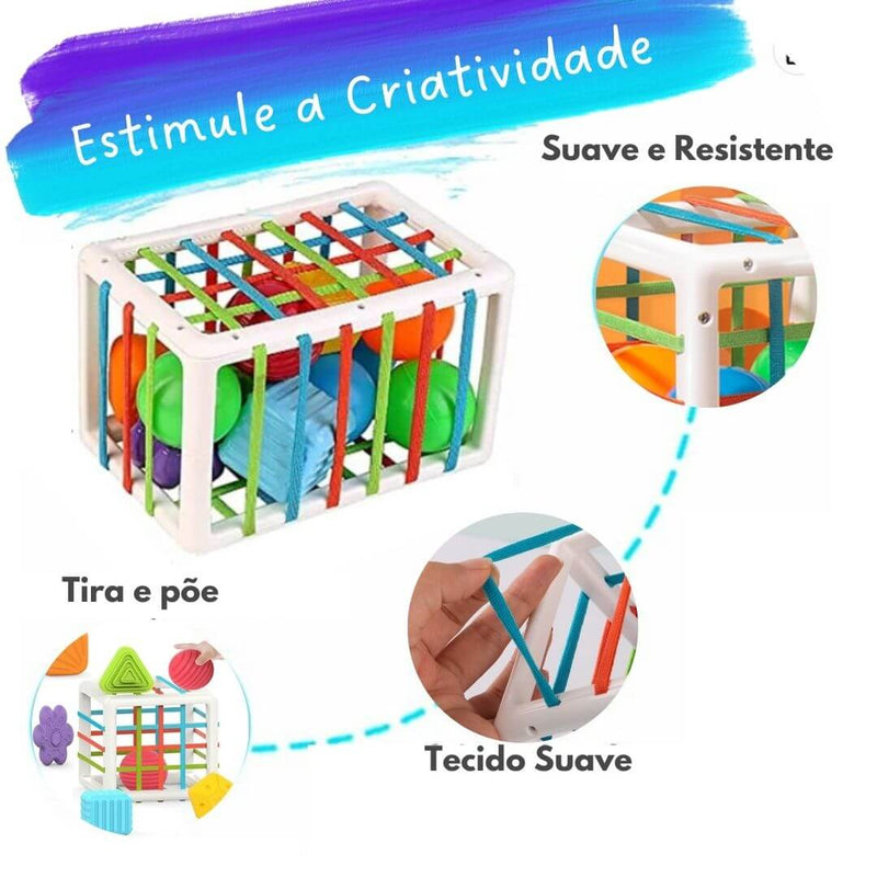 Gaiola Mágica Educativa Blocos de Encaixe Montessori