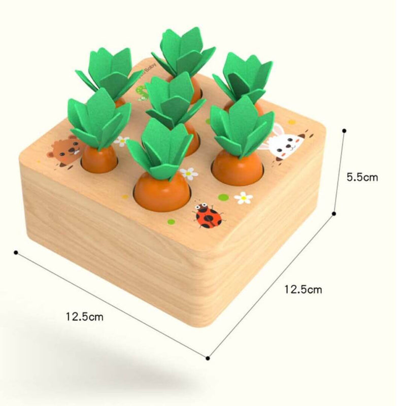 Caixa de Cenoura Educativa Sensorial Montessori em Madeira